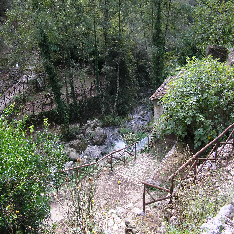 wp5d1a80ad_02.jpg