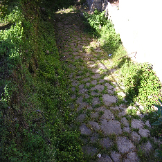wp7127a287_02.jpg