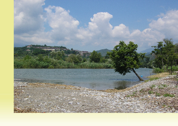 wp76f7c500_02.jpg