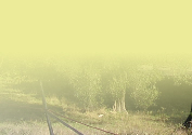 wp8846c655_02.jpg