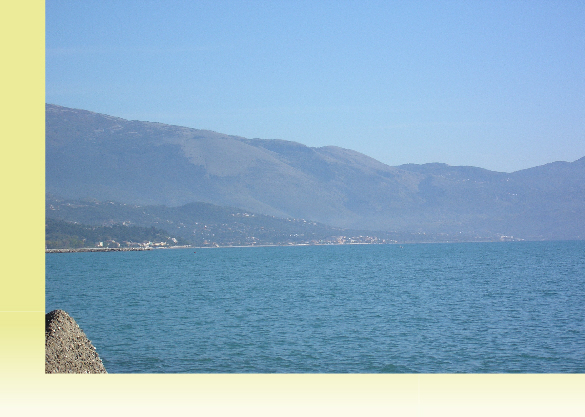 wpc3a97fca_02.jpg